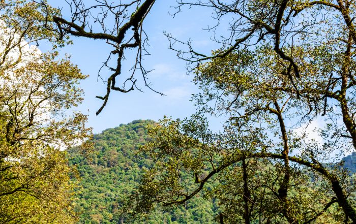 Neels Gap Georgia by Emma Sonberg