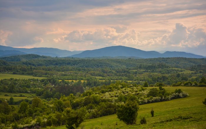 emma sonberg visits Calf Mountain Virginia