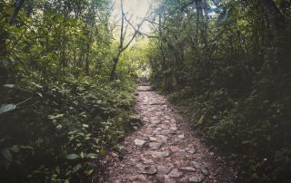 guide to baldpate mountain by emma sonberg