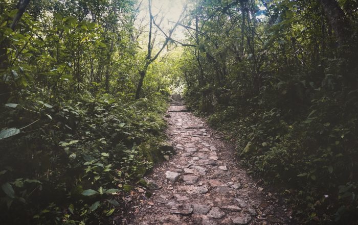 guide to baldpate mountain by emma sonberg