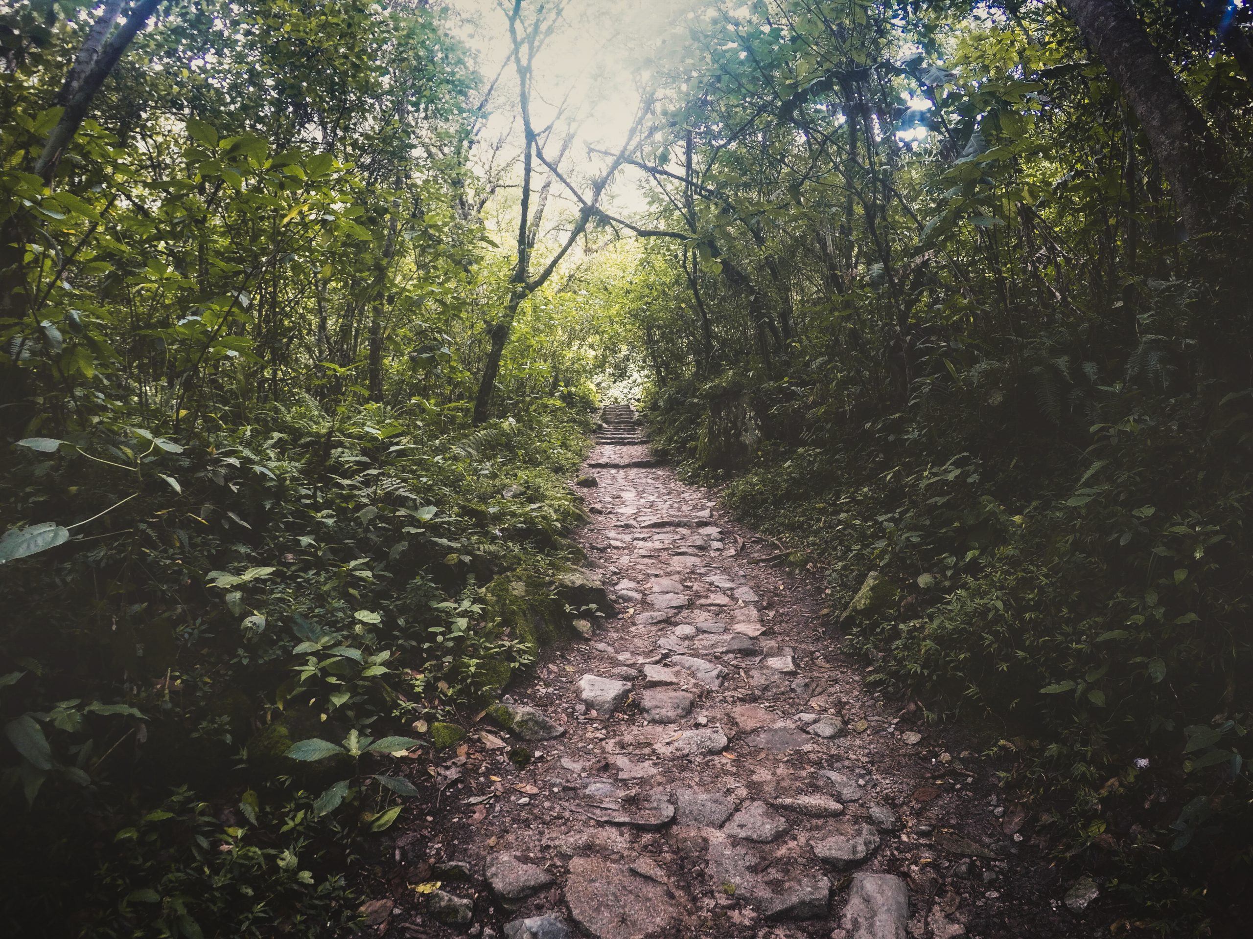 guide to baldpate mountain by emma sonberg